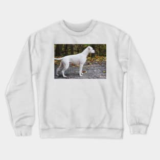 Assuming 'The Stance'... Crewneck Sweatshirt